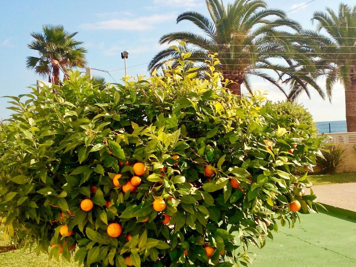 Ferienwohnung Voramar Calp Exterior foto